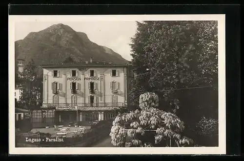 AK Lugano, Paradiso, Pensiopn Primrose