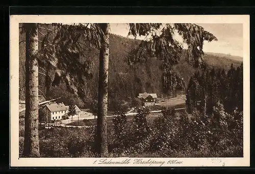 AK Hirschsprung, Blick auf das Gasthaus Ladenmühle im Tal