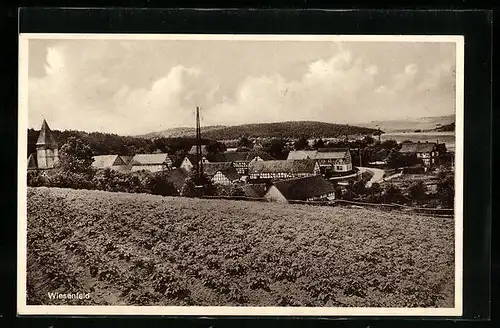 AK Wiesenfeld, Ortsansicht von einem Acker aus