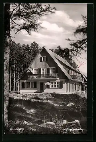 AK Wildbad /Sommerberg, Pension Haus Waldblick R. Riexinger