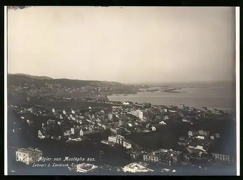 Fotografie Lehnert & Landrock, Tunis, Nr. 20, Ansicht Algier, Panorama von Mustapha aus