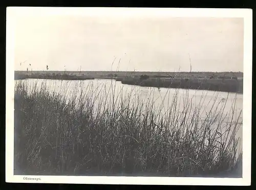 Fotografie unbekannter Fotograf, Ansicht Deutsch-Südwestafrika DSWA, Uferpartie am Okawango