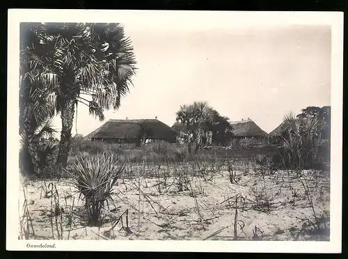 Fotografie unbekannter Fotograf, Ansicht Ovamboland / Deutsch-Südwestafrika DSWA, Hütten der Eingeborenen