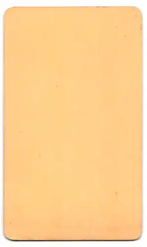 Fotografie unbekannter Fotograf und Ort, Bürgerlicher Herr mit Schnauzbart