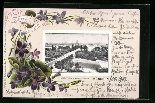 AK München, Blick vom Maximilianeum