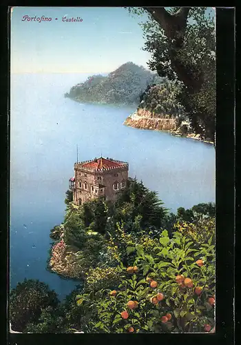 AK Portofino, Castello aus der Vogelschau