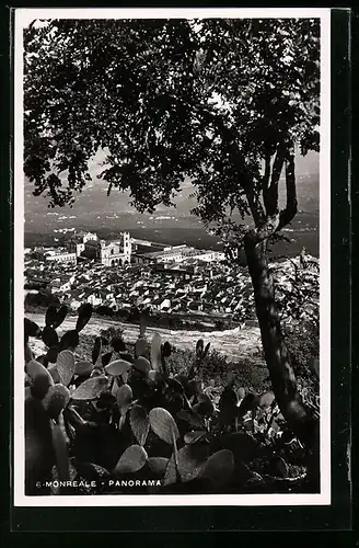 AK Monreale, Panorama