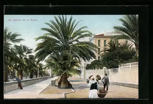 AK S. Remo, Strassenpartie unter Palmen