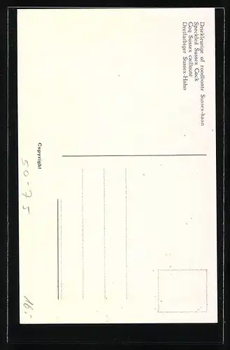 Künstler-AK Dreifarbiger Sussex-Hahn