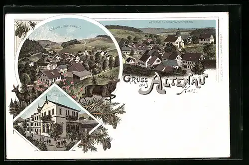 Lithographie Altenau im Harz, Hotel Rammelsberg, Altenau v. Rothenberg, Altenau v. Schwarzenberg