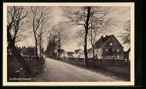 AK Ludwigsmoos, Strassenpartie mit Graben