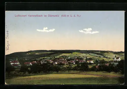 AK Hammelbach i. Odenwald, Panorama