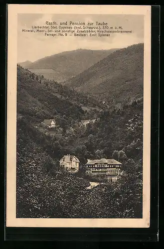 AK Lierbachtal /Schwarzwald, Gasthaus und Pension zur Taube