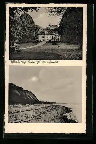AK Waabshof /Eckernförder-Bucht, Weg zum Haus, Strandpartie
