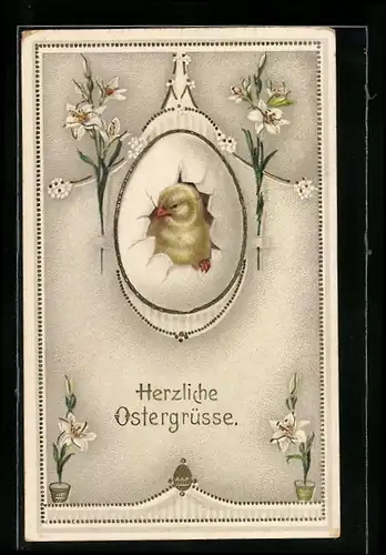 AK Osterküken blickt aus einem Osterei