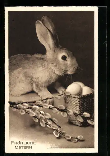 AK Osterhase mit Ostereierkorb
