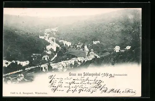 AK Schlangenbad, Totalansicht aus der Vogelschau