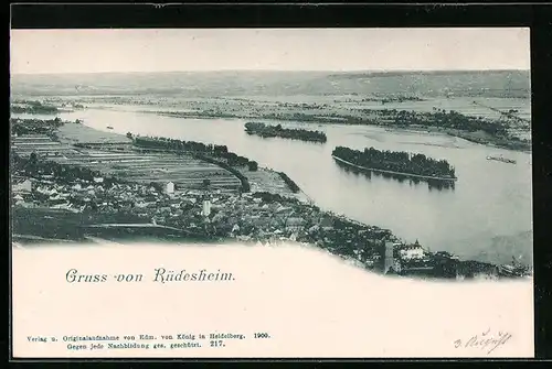 AK Rüdesheim, Ortsansicht mit Umgebung aus der Vogelschau