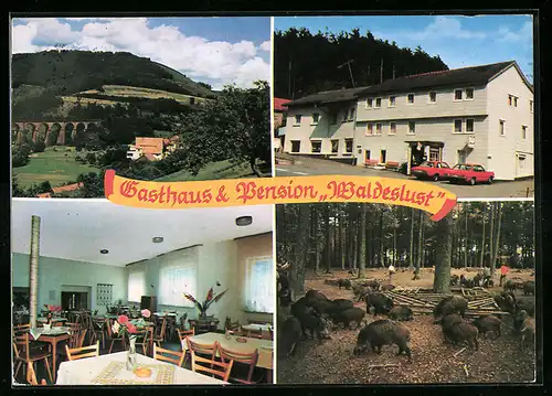 AK Hesseneck-Kailbach /Odenwald, Gasthaus-Pension Waldeslust I. Andres, Wildschweingehege