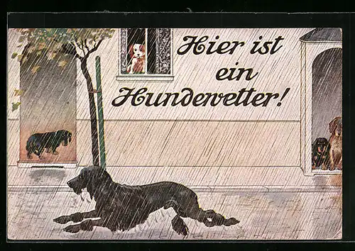 Künstler-AK Hier ist ein Hundewetter!, Dackel und andere Hunde verstecken sich vor Regen im Haus