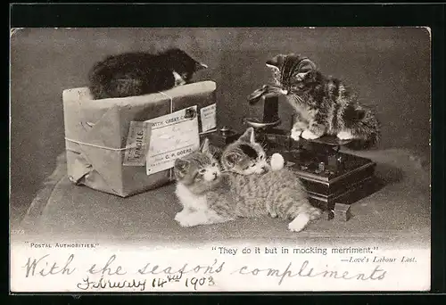 AK They do it but in mocking merriment, Kleine Katzen mit einem Paket und einer Waage