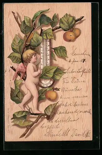 AK Amor mit Thermometer und Obstzweig