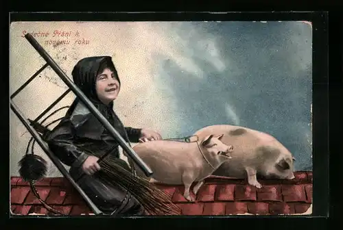 AK Schornsteinfeger auf dem Dach mit Schweinen