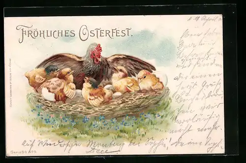 AK Huhn behütet Osterküken im Nest
