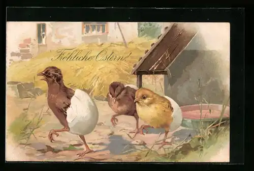 Lithographie Osterküken schlüpfen aus ihren Eiern