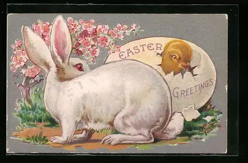 AK Osterhase und schlüpfendes Küken