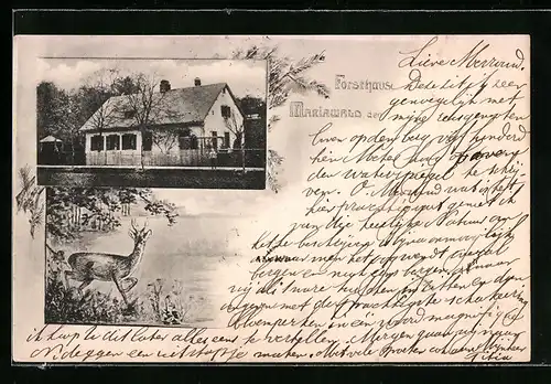 AK Heimbach /Eifel, Gasthof Forsthaus Mariawald