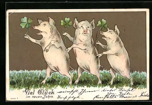 Künstler-AK Schweine mit Glücksklee