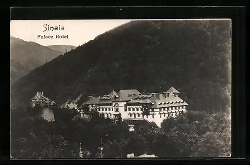 AK Sinaia, Palace Hotel