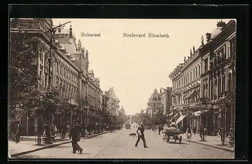 AK Bukarest, Boulevard Elisabeth, Strassenbahn