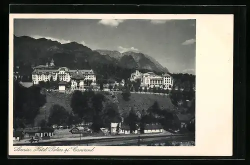 AK Sinaia, Hotel Palace si Carzinoul