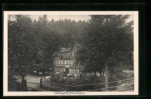 AK Hohegeiss / Harz, Gasthaus mit Gartenterrasse