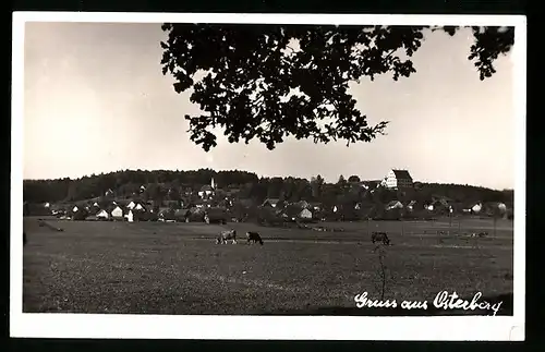 AK Osterberg ü. Illertissen, Panorama des Ortes