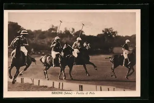 AK Brioni, Partita di Polo