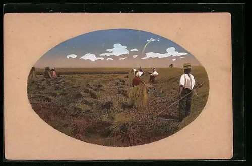 AK Mezzo, Bauern auf dem Feld, Landwirtschaft