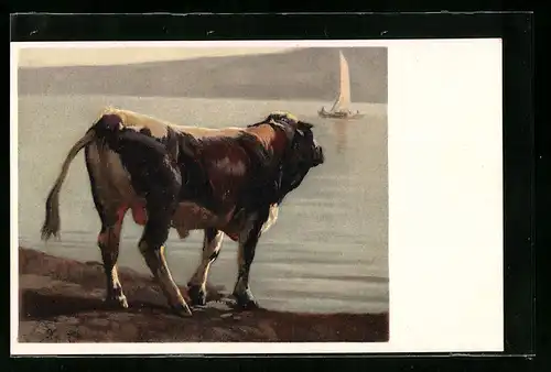 Künstler-AK Rudolf Koller, Schwarzfleck-Stier, Kuh am Ufer eines Sees, Pro Juventute
