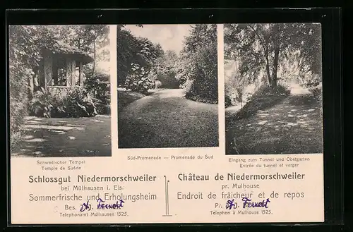 AK Niedermorschweiler, Gasthaus Schlossgut Niedermorschweile, Schwedischer Tempel