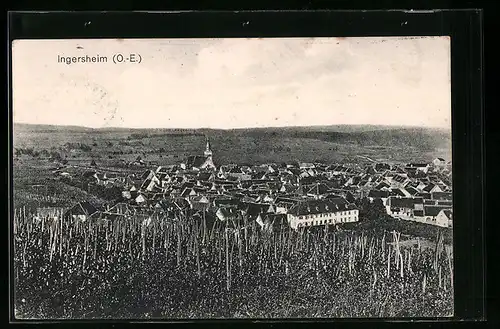 AK Ingersheim /O.-E., Panorama