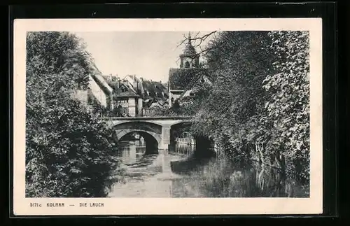 AK Kolmar, Die Lauch