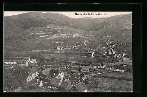 AK Breitenbach /Münstertal, Panorama