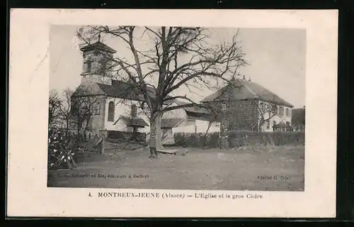 AK Montreux-Jeune /Alsace, L`Eglise et le gros Cèdre