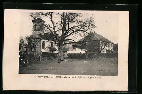 AK Montreux-Jeune, L`Eglise et le gros Cèdre