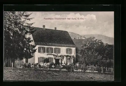 AK Sulz, Forsthaus am Thierenbach