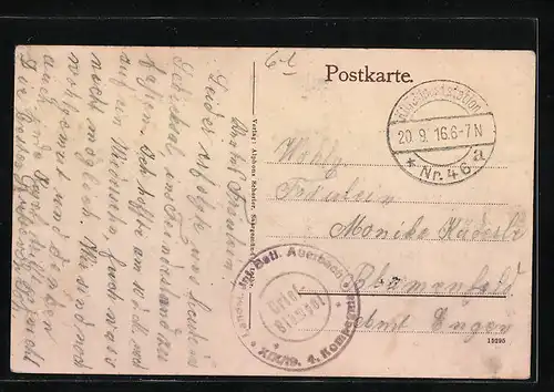 AK Saargemünd, Parkstrasse mit Hospital