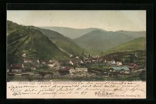 AK Oppenau, Totalansicht