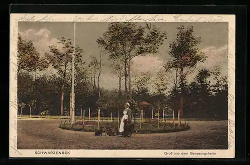 AK Schwarzenbek, Genesungsheim, Schwester mit Hunden